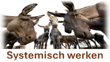 Systemisch Werken Systemisch Werken